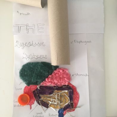 tsa_HomeLearningScience (62)
